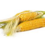 corn, natural, ripe