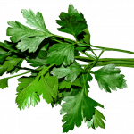 parsley, leaves, cooking