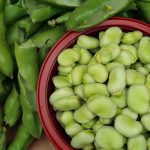 broad beans, beans, food