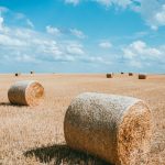 photography brown haystacks during daytime
