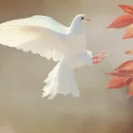dove, bird, flight