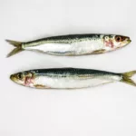 sardines, white background, two fish